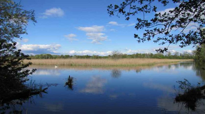 Aquatic habitat in Switzerland