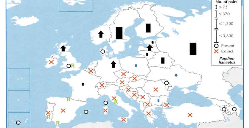 Carte de distribution et statut des populations du Balbuzard en Europe. Repris de BirdLife Int (2004) et modiiés d'après Schmidt, Dennis & Saurola (2014).