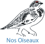 Logo Nos Oiseaux
