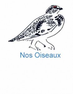 Nos Oiseaux logo