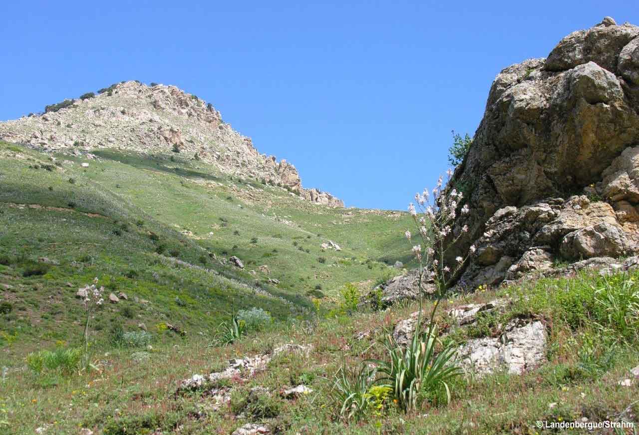 Vue du Parc National du Djurdjura, Algérie