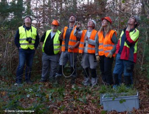 Equipe balbuzard construction des nids