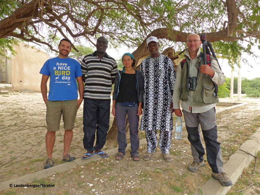 Ornithologists Langue de Barbarie