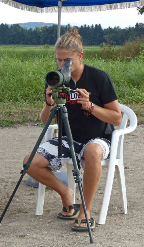 David Bippus