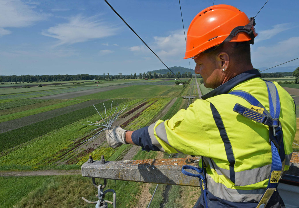 Groupe-E removing bird spikes