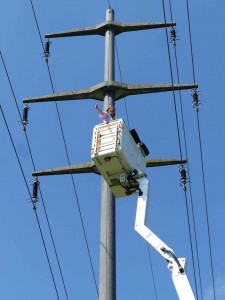 Mission accomplished on this 28 m tall pylon, all the bird spikes are gone!