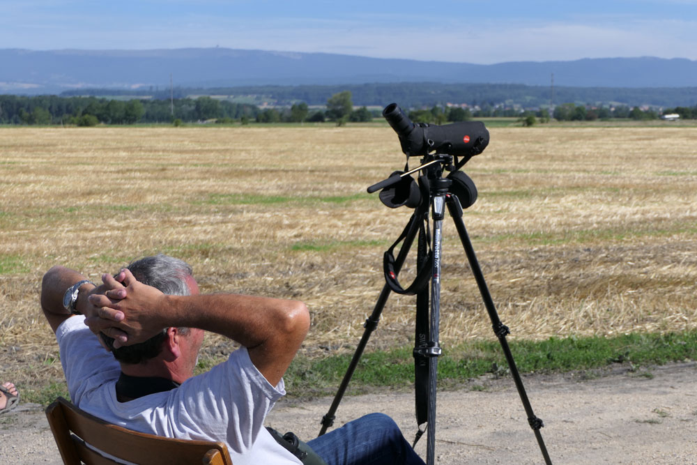 Monitoring during Osprey, summer of 2017.