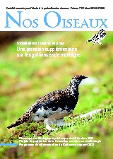 Rapport Balbuzard 2023 dans Nos Oiseaux mars 2024