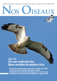 Rapport Projet Balbuzard 2024 dans la revue Nos Oiseaux mars 2025